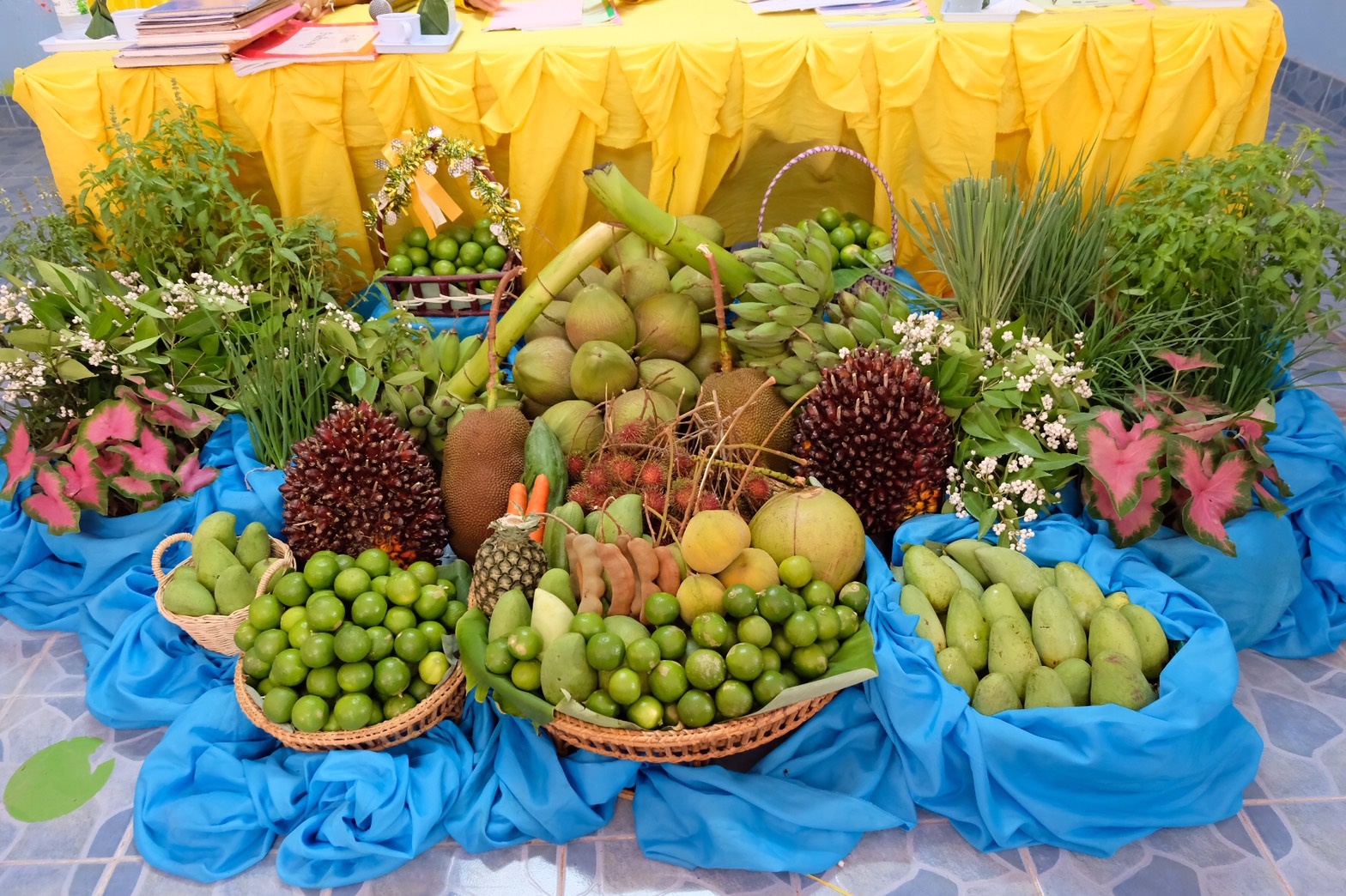 @นครพนม : กิจกรรมการคัดสรรหมู่บ้านเศรษฐกิจพอเพียง “อยู่เย็น เป็นสุข” และเครือข่ายพัฒนาชุมชนดีเด่น ระดับจังหวัด 2562