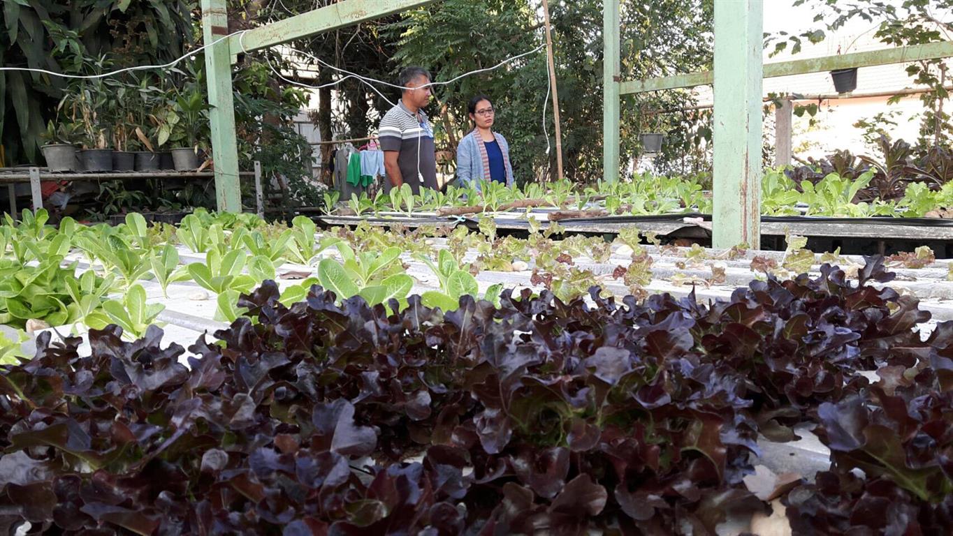 14 ม.ค. 2563 ผู้ตรวจกรมฯ ติดตามการดำเนินงาน บริษัทประชารัฐฯ