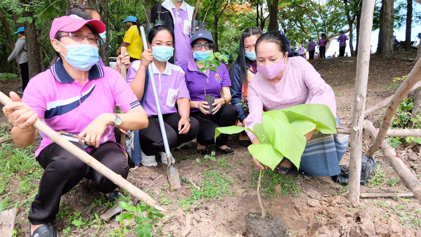 3 มิ.ย. 63 พช. นครพนม รวมพลังสตรีอาสาพัฒนาปลูกป่าเฉลิมพระเกียรติฯ ณ อำเภอนาแก