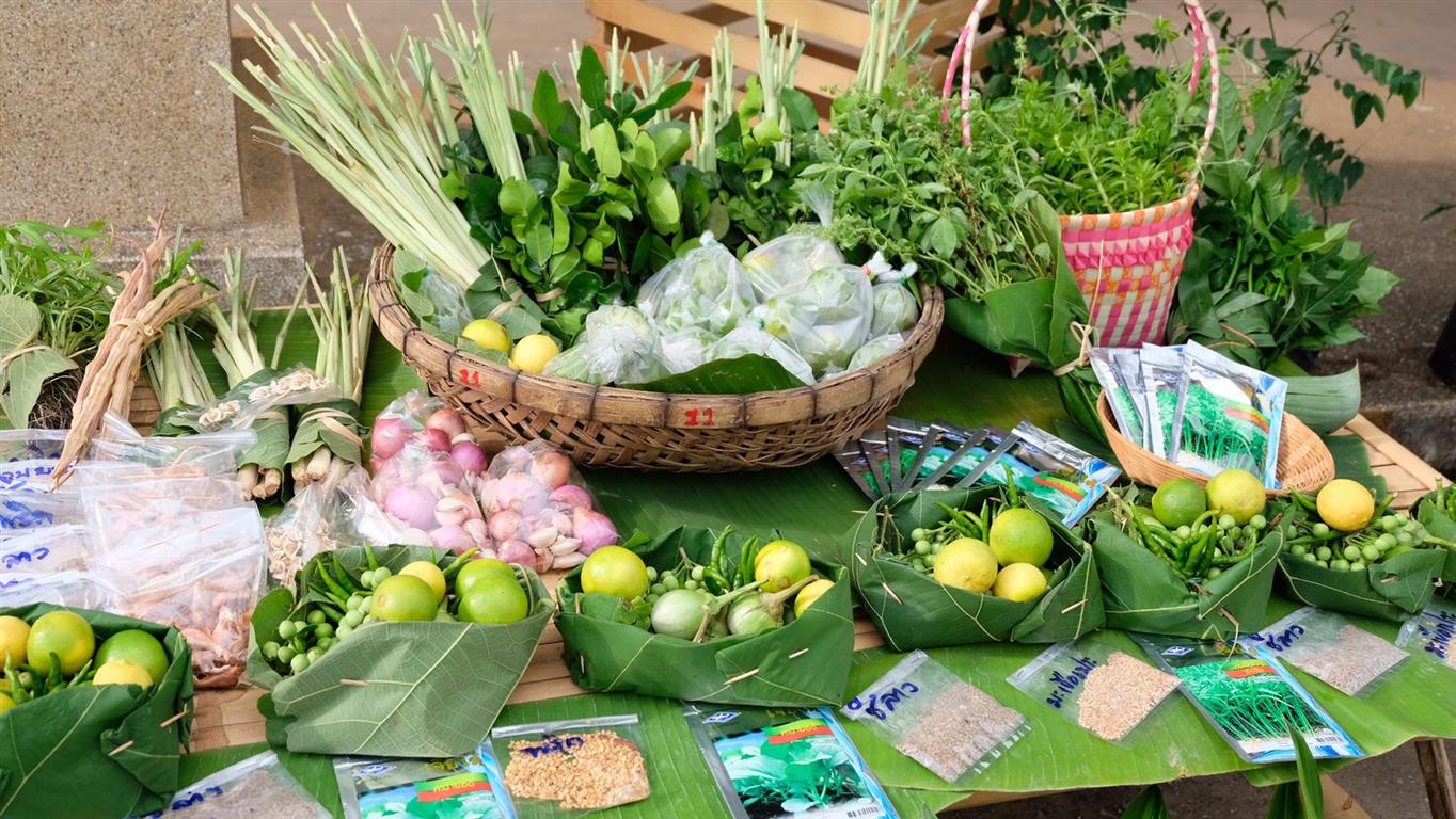 1 ก.ค. 2563 นครพนม “ปันรัก แบ่งผักสวนครัว ขยายความมั่นคงทางอาหาร”