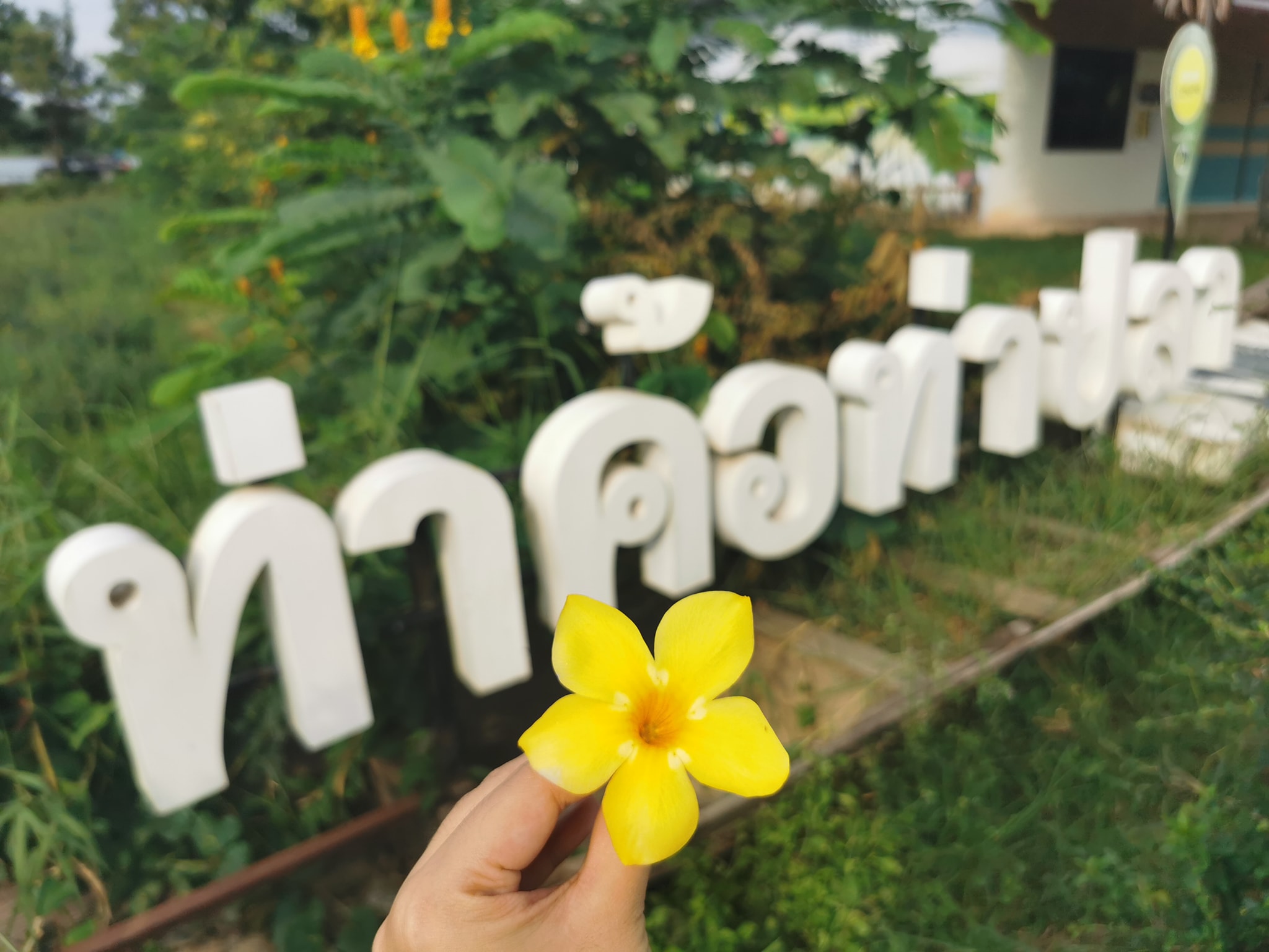 6 พ.ย. 2563 พช.นครพนม ติดตาม สนับสนุนการดำเนินงานชุมชนท่องเที่ยว​ OTOP นวัติวิถี​​ ตำบลท่าค้อ ในพื้นที่อำเภอเมืองนครพนม จังหวัดนครพนม
