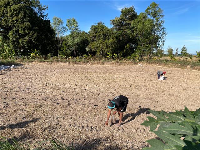 ผู้ตรวจราชการกรม พช. ติดตามครัวเรือนเป้าหมายตามโครงการพัฒนาพื้นที่ต้นแบบการพัฒนาคุณภาพชีวิต ตามหลักทฤษฎีใหม่ ประยุกต์สู่ “โคก หนอง นา โมเดล”