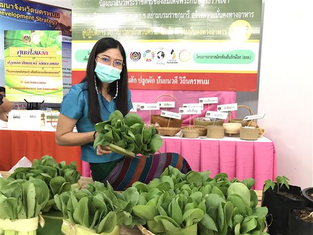 ? พ่อเมืองนครพนมเดินหน้ามอบความสุขสู่ชุมชน ด้วยการน้อมนำแนวพระราชดำริของสมเด็จพระกนิษฐาธิราชเจ้า กรมสมเด็จพระเทพรัตนราชสุดาฯ สยามบรมราชกุมารี สู่แผนปฏิบัติการ 90 วัน ปลูกผักสวนครัว เพื่อสร้างความมั่นคงทางอาหาร รอบ 2
