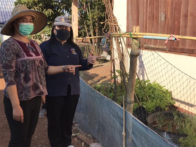 สำนักงานพัฒนาชุมชนจังหวัดนครพนม ลงพื้นที่ติดตามการดำเนินงานโครงการ “น้อมนำแนวพระราชดำริของสมเด็จพระกนิษฐาธิราชเจ้า กรมสมเด็จพระเทพรัตนราชสุดาฯ สยามบรมราชกุมารี สู่แผนปฏิบัติการ 90 วัน ปลูกผักสวนครัวระยะที่ 2 สร้างวัฒนธรรมปลูกผักประจำครัวเรือน” ตำบลมหาชัย