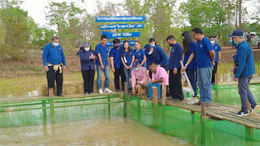 หัวหน้าผู้ตรวจราชการกรมการพัฒนาชุมชน ลงพื้นที่ตรวจติดตามการดำเนินงานผู้นำการเปลี่ยนแปลงพื้นที่ “โคก หนอง นา โมเดล” อำเภอปลาปาก จังหวัดนครพนม