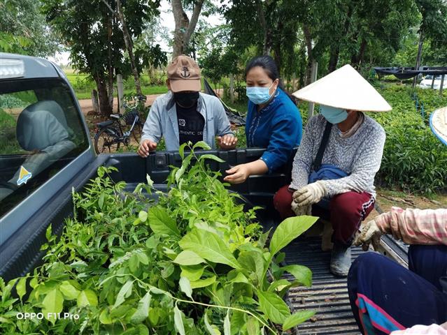 พช.นครพนม บูรณาการร่วมกับสถานีเพาะชำกล้าไม้จังหวัดนครพนม ส่งเสริม/สนับสนุนการปลูกป่าเพื่อพัฒนาหมู่บ้าน/พื้นที่ต้นแบบการพัฒนาคุณภาพชีวิต ตามหลักทฤษฎีใหม่ ประยุกต์สู่ “โคก หนอง นา พช.”และหมู่บ้านเศรษฐกิจพอเพียง ปี 2564