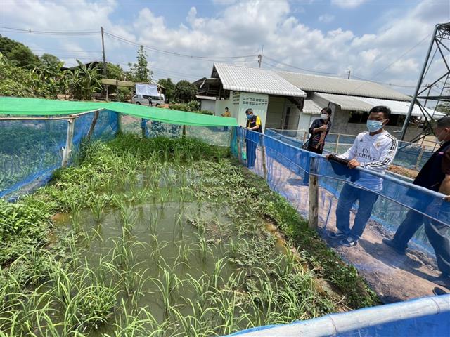 พช.นครพนม สนับสนุนผู้นำการเปลี่ยนแปลงและภาคีการพัฒนา บ้านดอนแดง หมู่ที่ 2 ตำบลนาทม ชิงรางวัลประกวดผู้นำการเปลี่ยนแปลงดีเด่น ระดับเขตตรวจราชการ ผ่านระบบออนไลน์ ZOOM