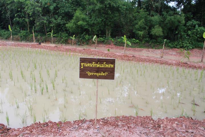 พช.นครพนม จัดกิจกรรม “จิตอาสาพัฒนาชุมชนเอามื้อสามัคคี” เฉลิมพระเกียรติเนื่องในโอกาสมหามงคลเฉลิมพระชนมพรรษา พระบาทสมเด็จพระปรเมนทรรามาธิบดีศรีสินทรมหาวชิราลงกรณ พระวชิรเกล้าเจ้าอยู่หัว