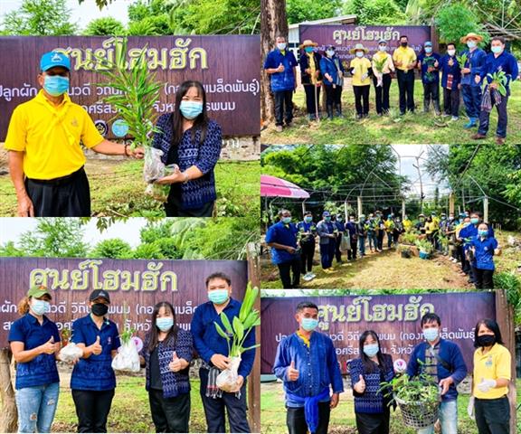พช.นครพนม ผนึกกำลังอาสาพัฒนาชุมชน (อช.)/อาสามัครท้องถิ่นรักษ์โลก (อถล.)/ผู้นำชุมชน /ครัวเรือนต้นแบบ “โคก หนอง นา พช.”/กพสอ./กองทุนสตรีกองทุนเมล็ดพันธุ์/ศอช.ต./ เกษตรอำเภอ/ปศุสัตว์อำเภอ สร้างฐานการเรียนรู้ ““ศูนย์โฮมฮัก ปลูกผัก ปันแนวดี วิถีนครพนม (ศูนย์แบ่งปัน) สาขา อำเภอศรีสงคราม” ปลูกผักสวนครัวต้นแบบทางรอด และสมุนไพรไทยทางเลือกสร้างภูมิคุ้มกันโควิด-19? “ทุกครัวเรือน คือ คลังอาหาร ทุกหมู่บ้าน คือ ศูนย์แบ่งปัน”