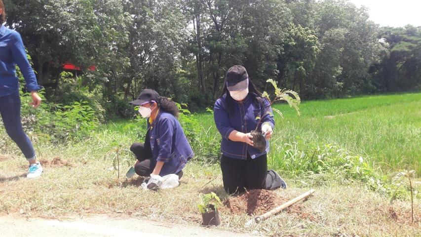 พช..นครพรม “ปลุกพลังหัวใจรุกรบ” สร้างความมั่นคงทางอาหาร สู้ภัยโควิด 19