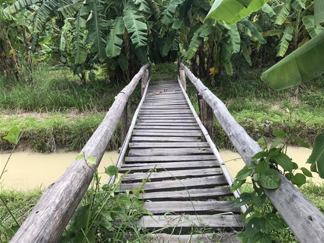 พช.นครพนม นำผู้พิพากษาหัวหน้าศาลเยาวชนและครอบครัวจังหวัดนครพนมพร้อมคณะ ศึกษาดูงานศูนย์เรียนรู้ตามโครงการพัฒนาพื้นที่ต้นแบบการพัฒนาคุณภาพชีวิตตามหลักทฤษฎีใหม่ ประยุกต์สู่ “โคก หนอง นา โมเดล”