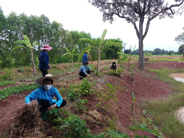 พช.นครพนม เดินหน้านิเทศ ติดตามให้คำแนะนำ สนับสนุนการปฏิบัติงานและประเมินผลการดำเนินงานพัฒนาชุมชน รอบไตรมาส 3-4 ประจำปีงบประมาณ พ.ศ.2564