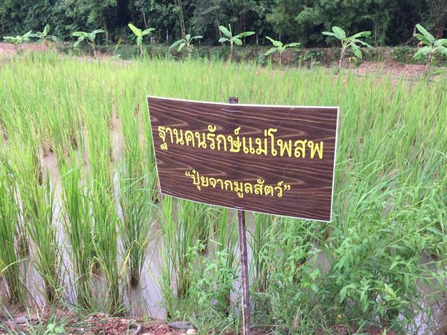 พช.นครพนม สร้างภาพลักษณ์กรมการพัฒนาชุมชนด้วยการประชาสัมพันธ์ผ่านสื่อออนไลน์