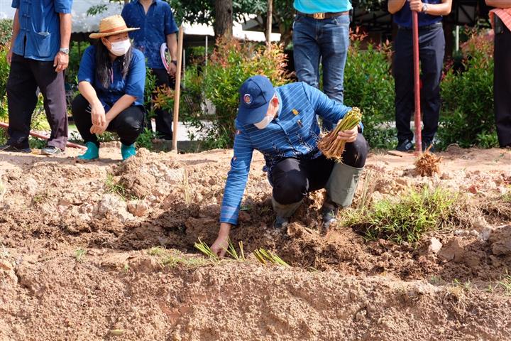 พช.นครพนม รุกรบขับเคลื่อน “โคก หนอง นา สถานพินิจฯ นครพนม”