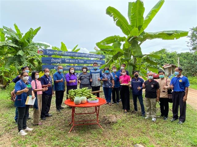 รองอธิบดีกรมการพัฒนาชุมชน ลงพื้นที่ตรวจราชการและให้กำลังใจแก่ครัวเรือนพื้นที่ต้นแบบ “โคก หนอง นา โมเดล” จังหวัดนครพนม
