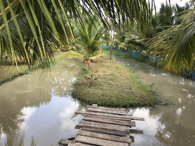 ผู้ว่าฯ นครพนม ลงพื้นที่ชื่นชมผลสำเร็จครัวเรือนพื้นที่ต้นแบบ “โคก หนอง นา นครพนม”