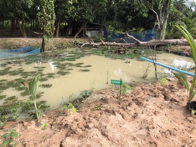 ผู้ว่าฯ นครพนม ลงพื้นที่ชื่นชมผลสำเร็จครัวเรือนพื้นที่ต้นแบบ “โคก หนอง นา นครพนม”