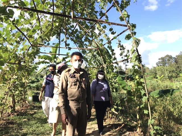 นครพนม เดินหน้าขับเคลื่อน โคก หนอง นา พัฒนาชุมชน สู่เป้าหมาย “พัฒนาเศรษฐกิจ เสริมสร้างคุณภาพชีวิต พิชิตความยากจน”