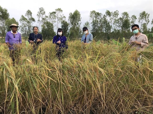 “โคก หนอง นา คือ ทางรอด”(คำตอบอยู่ที่ชุมชน) นครพนมทีมลงพื้นที่ชื่นชมและเสริมพลังสร้างความมั่นคงทางอาหาร จากการดำเนินงานศูนย์เรียนรู้ทฤษฎีใหม่ ประยุกต์สู่ ”โคก หนอง นา พัฒนาชุมชน”