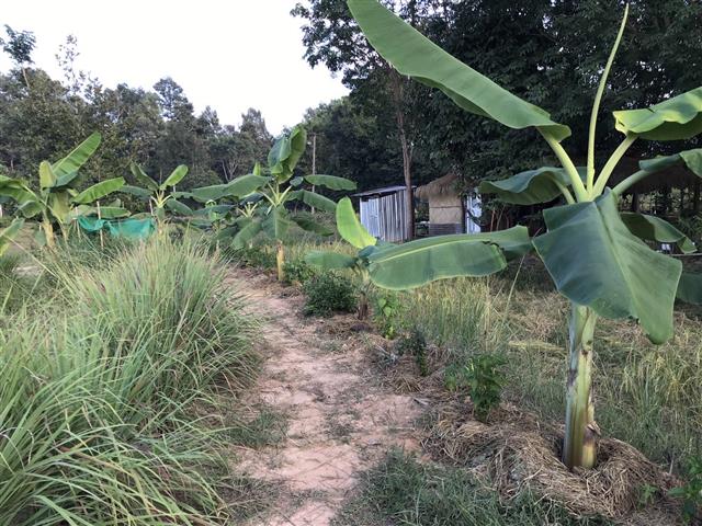 “โคก หนอง นา คือ ทางรอด”(คำตอบอยู่ที่ชุมชน) นครพนมทีมลงพื้นที่ชื่นชมและเสริมพลังสร้างความมั่นคงทางอาหาร จากการดำเนินงานศูนย์เรียนรู้ทฤษฎีใหม่ ประยุกต์สู่ ”โคก หนอง นา พัฒนาชุมชน”
