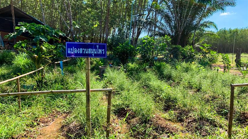 พช.นครพนม ติดตามและชื่นชมความสำเร็จของ “โคก หนอง นา นครพนม”