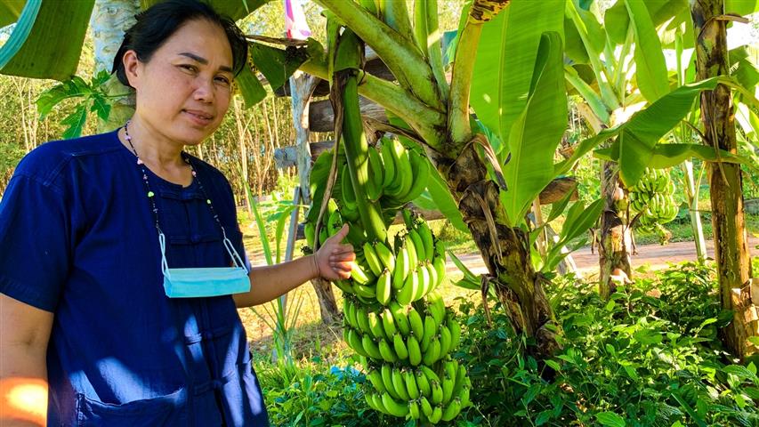 ผู้ว่าฯ นครพนม นำชื่นชมความสำเร็จการพัฒนาศูนย์เรียนรู้ทฤษฎีใหม่ ประยุกต์สู่ “โคก หนอง นา โมเดล” แก้แล้งแก้น้ำท่วม หนุนพัฒนาคุณภาพชีวิตครัวเรือน “ชีวิตมั่นคง ครอบครัวมั่งคั่ง ชุมชนยั่งยืน”