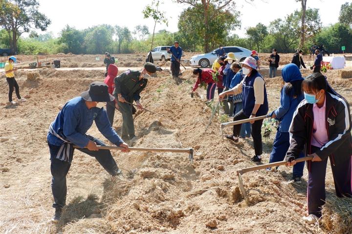 พช.นครพนม จัดกิจกรรมเอามื้อสามัคคี เนื่องใน “วันดินโลก” (World Soil Day) และสัปดาห์การพัฒนา