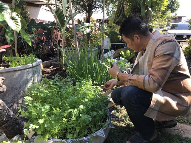 พ่อเมืองนครพนม เดินหน้าสร้างความมั่นคงทางอาหาร น้อมนำแนวพระราชดำริ สมเด็จพระกนิษฐาธิราชเจ้า กรมสมเด็จพระเทพรัตนราชสุดฯ สยามบรมราชกุมารี “ปลูกพืชผักสวนครัวเพื่อสร้างความมั่นคงทางอาหาร”
