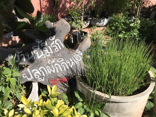 พ่อเมืองนครพนม เดินหน้าสร้างความมั่นคงทางอาหาร น้อมนำแนวพระราชดำริ สมเด็จพระกนิษฐาธิราชเจ้า กรมสมเด็จพระเทพรัตนราชสุดฯ สยามบรมราชกุมารี “ปลูกพืชผักสวนครัวเพื่อสร้างความมั่นคงทางอาหาร”