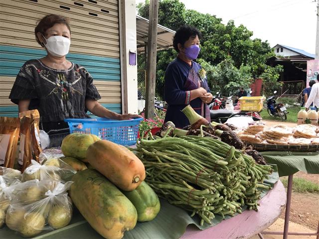 พ่อเมืองนครพนม เดินหน้าสร้างความมั่นคงทางอาหาร น้อมนำแนวพระราชดำริ สมเด็จพระกนิษฐาธิราชเจ้า กรมสมเด็จพระเทพรัตนราชสุดฯ สยามบรมราชกุมารี “ปลูกพืชผักสวนครัวเพื่อสร้างความมั่นคงทางอาหาร”