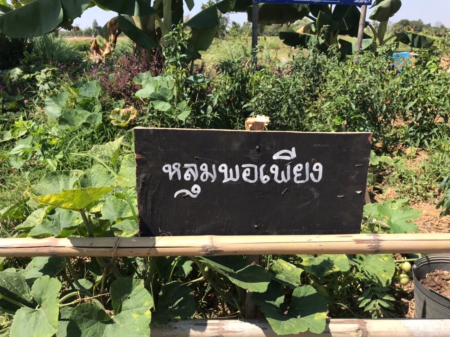 พช.นครพนม เดินหน้านิเทศ ติดตามให้คำแนะนำ สนับสนุนการปฏิบัติงานและประเมินผลการดำเนินงานพัฒนาชุมชน รอบไตรมาส 1-2 ประจำปีงบประมาณ พ.ศ. 2565 พื้นที่อำเภอธาตุพนม และอำเภอเรณูนค