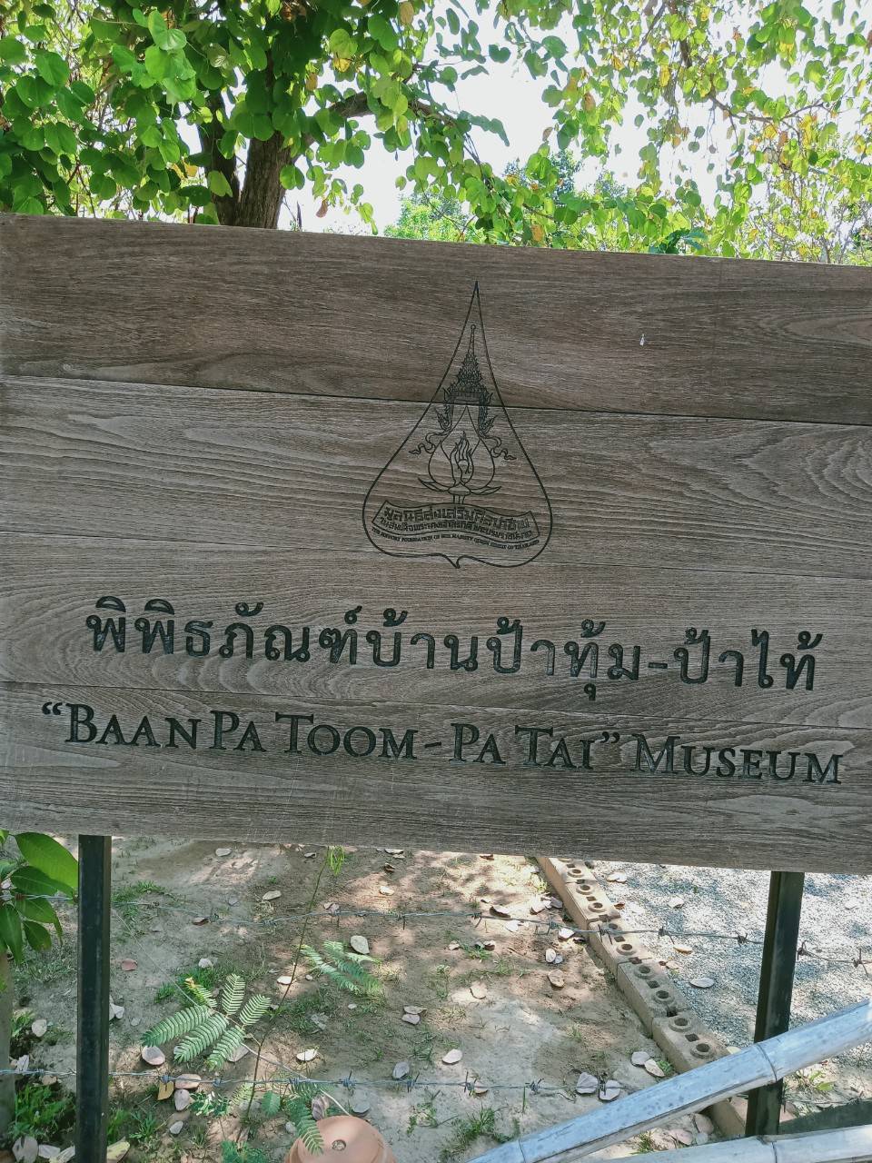 จังหวัดนครพนม เร่งฟื้นฟูการปลูกหม่อนเลี้ยงไหม เพื่อเป็นแหล่งเรียนรู้การปลูกหม่อนเลี้ยงไหมพันธุ์พื้นเมืองของไทยและการทอผ้าไหมครบวงจร