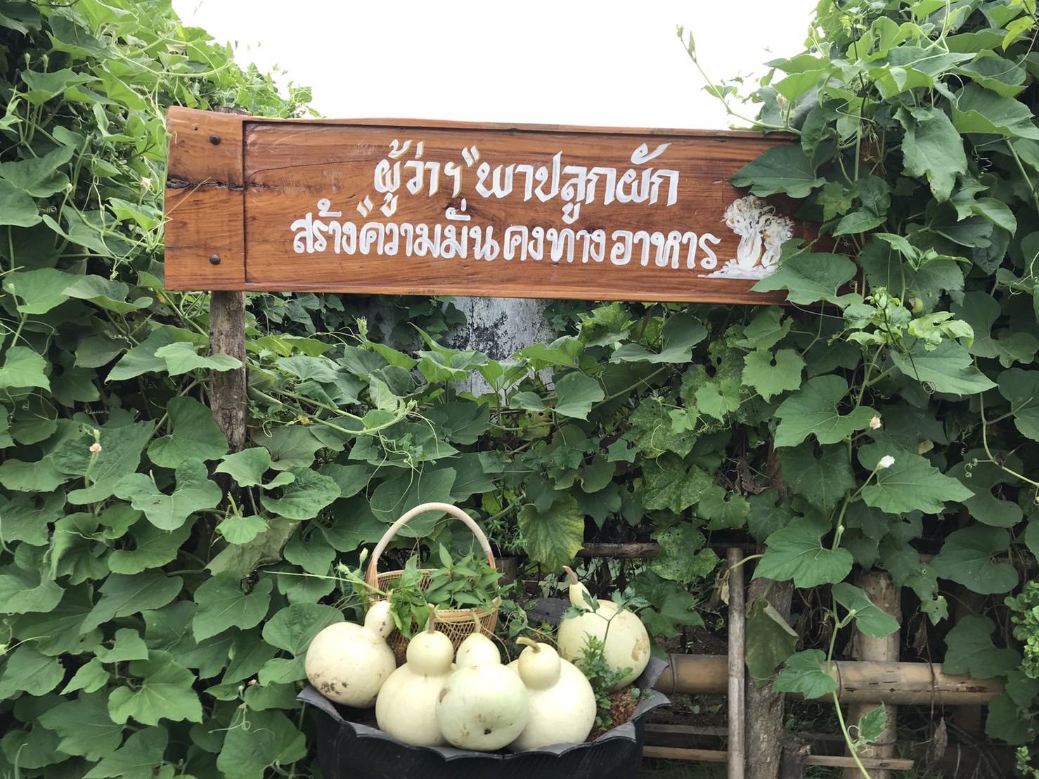 “พ่อเมืองนครพนม ต้นแบบที่เห็นจริง” น้อมนำแนวพระราชดำริสมเด็จพระกนิษฐาธิราชเจ้า กรมสมเด็จพระเทพรัตนราชสุดาฯ สยามบรมราชกุมารี สร้างความมั่นคงทางอาหาร “โครงการบ้านนี้มีรัก ปลูกผักกินเอง” และการขับเคลื่อนกิจกรรมปลูกพืชผักสวนครัวเพื่อสร้างความมั่นคงทางอาหาร