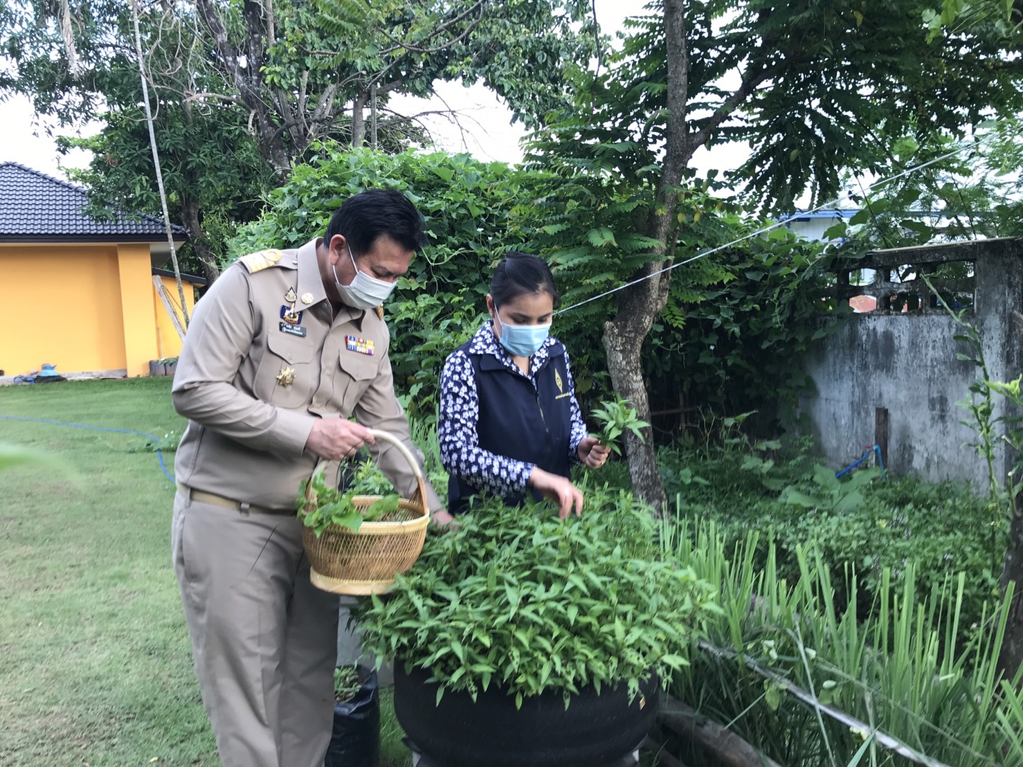 “พ่อเมืองนครพนม ต้นแบบที่เห็นจริง” น้อมนำแนวพระราชดำริสมเด็จพระกนิษฐาธิราชเจ้า กรมสมเด็จพระเทพรัตนราชสุดาฯ สยามบรมราชกุมารี สร้างความมั่นคงทางอาหาร “โครงการบ้านนี้มีรัก ปลูกผักกินเอง” และการขับเคลื่อนกิจกรรมปลูกพืชผักสวนครัวเพื่อสร้างความมั่นคงทางอาหาร