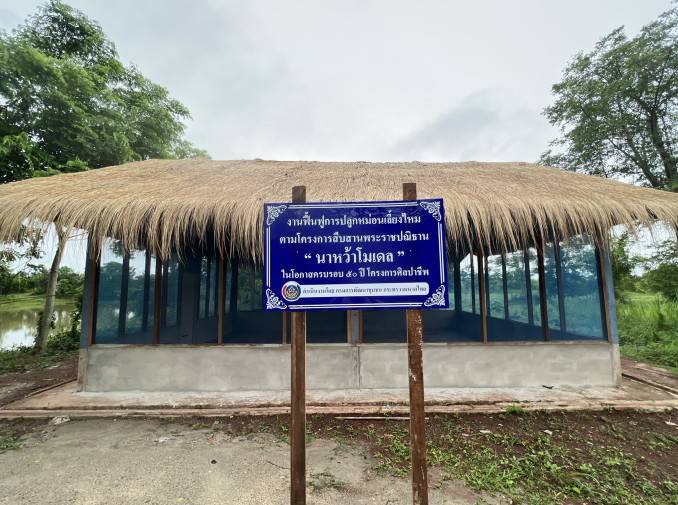 นครพนม ฟื้นฟูการปลูกหม่อนเลี้ยงไหม ตามโครงการสืบสานพระราชปณิธาน “นาหว้าโมเดล”