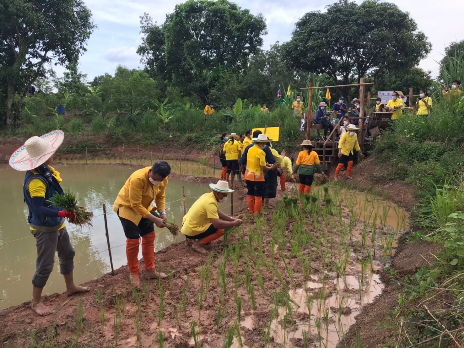ปลัดกระทรวงมหาดไทย เอามื้อสามัคคี “โคก หนอง นา พัฒนาชุมชน” เฉลิมพระเกียรติพระบาทสมเด็จพระเจ้าอยู่หัว เนื่องในโอกาสวันเฉลิมพระชนมพรรษา 28 กรกฎาคม 2565