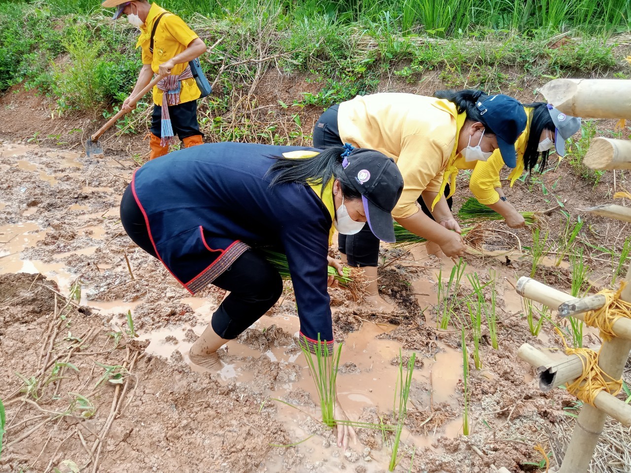 ปลัดกระทรวงมหาดไทย เอามื้อสามัคคี “โคก หนอง นา พัฒนาชุมชน” เฉลิมพระเกียรติพระบาทสมเด็จพระเจ้าอยู่หัว เนื่องในโอกาสวันเฉลิมพระชนมพรรษา 28 กรกฎาคม 2565