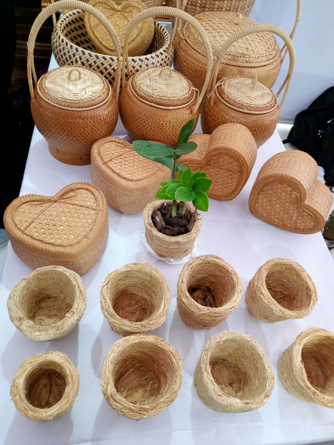 นครพนม บูรณาการความร่วมมือภาคีเครือข่ายพัฒนา มหาวิทยาลัยนครพนม นำผลงานวิจัยที่สนับสนุนพัฒนาต่อยอดผลิตภัณฑ์ชุมชนและชุมชนท่องเที่ยวในพื้นที่จังหวัดนครพนม สู่การสร้างงาน สร้างรายได้ สร้างอาชีพอย่างยั่งยืน