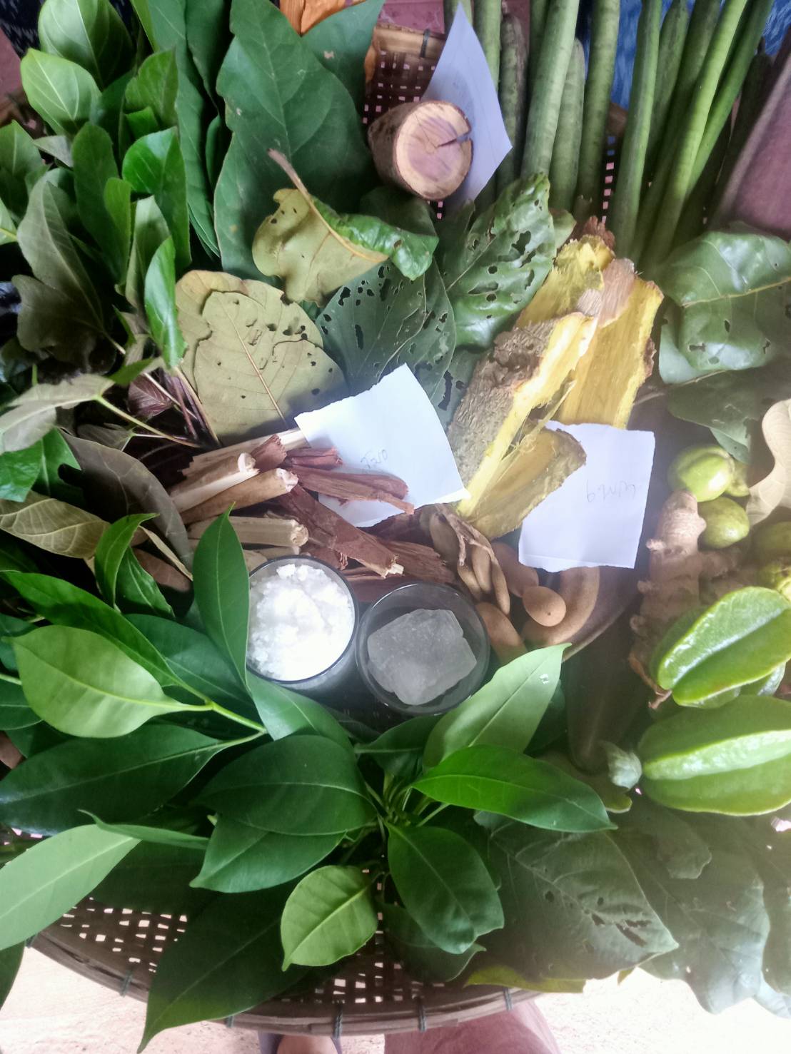 กรมการพัฒนาชุมชน ขับเคลื่อนการสืบสานภูมิปัญญาและองค์ความรู้การย้อมผ้าด้วยสีธรรมชาติในการพัฒนาผลิตภัณฑ์ผ้าไทย พื้นที่จังหวัดนครพนม