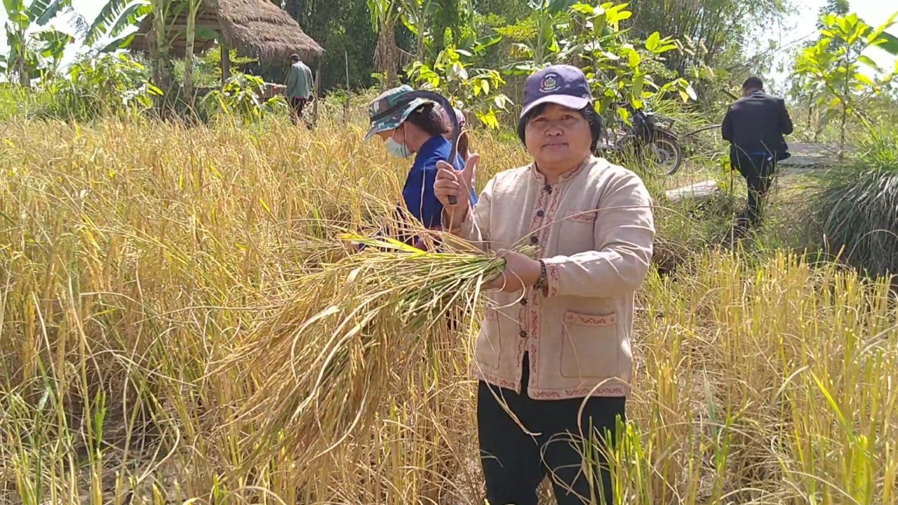 รองหัวหน้าผู้ตรวจ พช. ลงพื้นที่ติดตามการขับเคลื่อนกิจกรรมตามโครงการอำเภอนำร่อง