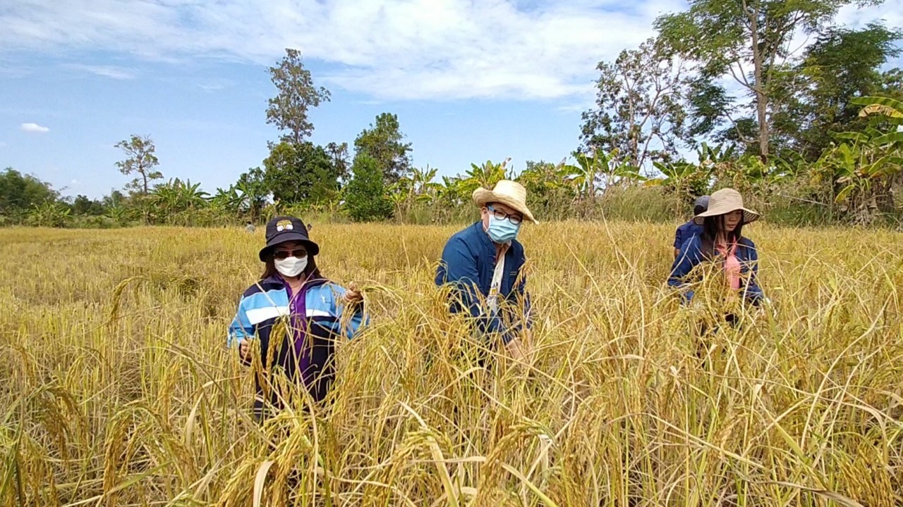 รองหัวหน้าผู้ตรวจ พช. ลงพื้นที่ติดตามการขับเคลื่อนกิจกรรมตามโครงการอำเภอนำร่อง