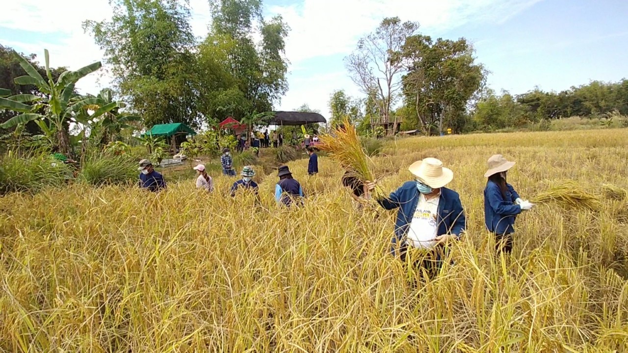รองหัวหน้าผู้ตรวจ พช. ลงพื้นที่ติดตามการขับเคลื่อนกิจกรรมตามโครงการอำเภอนำร่อง