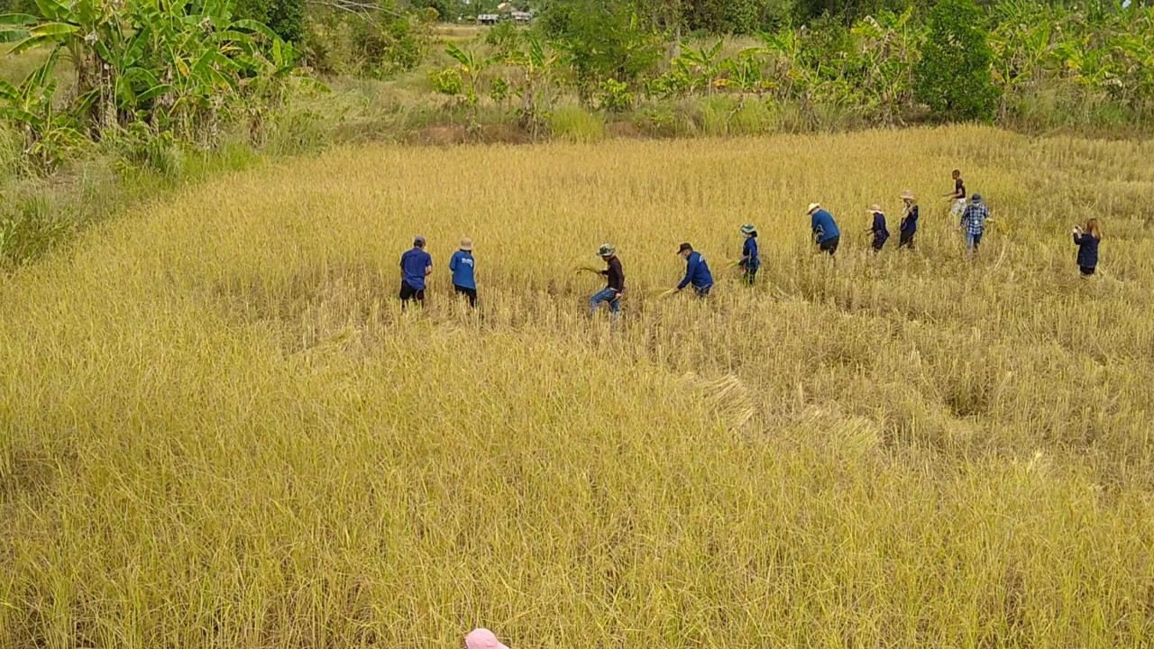 รองหัวหน้าผู้ตรวจ พช. ลงพื้นที่ติดตามการขับเคลื่อนกิจกรรมตามโครงการอำเภอนำร่อง