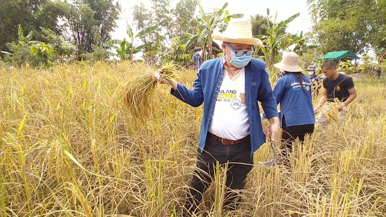 รองหัวหน้าผู้ตรวจ พช. ลงพื้นที่ติดตามการขับเคลื่อนกิจกรรมตามโครงการอำเภอนำร่อง