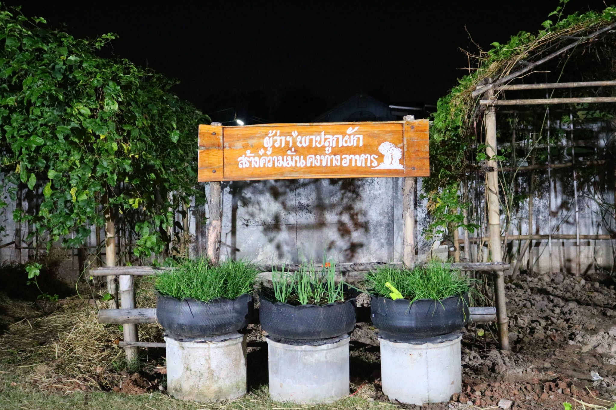 ผู้ว่าราชการจังหวัดนครพนม พาปลูกผัก สร้างความมั่นคงทางอาหาร “ผู้นำต้องทำก่อน”