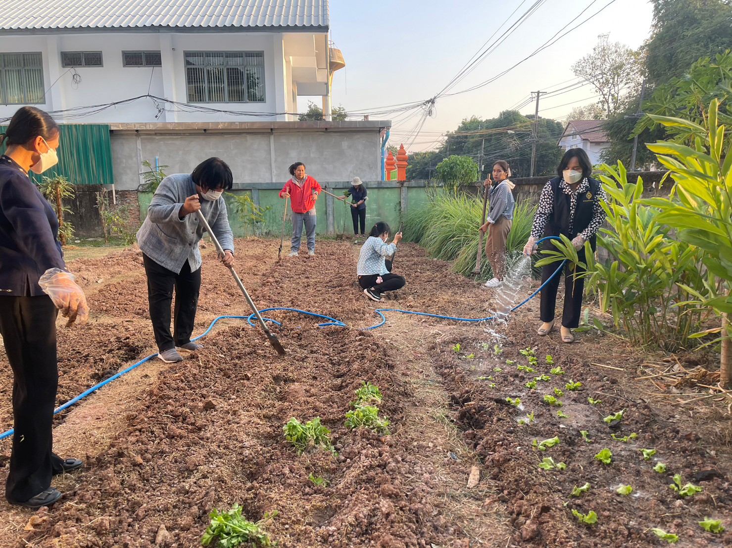 ผู้ว่าราชการจังหวัดนครพนม พาปลูกผัก สร้างความมั่นคงทางอาหาร “ผู้นำต้องทำก่อน”
