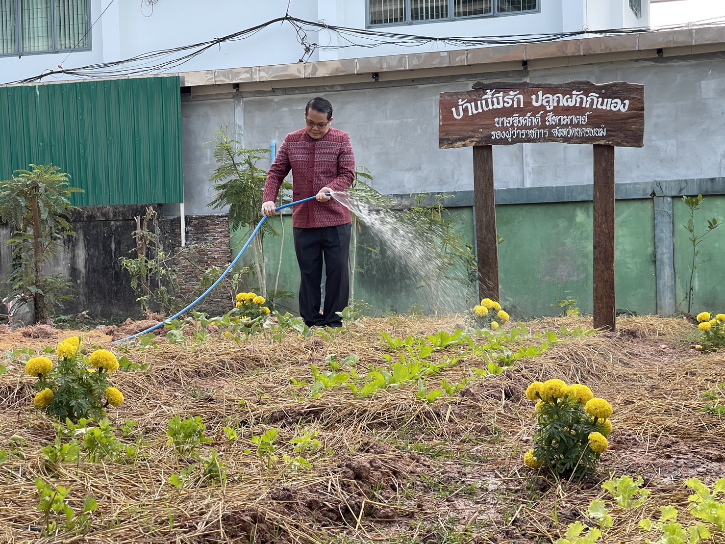 รองผู้ว่าราชการจังหวัดนครพนม รดน้ำผักสวนครัว สร้างความมั่นคงทางอาหาร ผู้นำต้องทำก่อน
