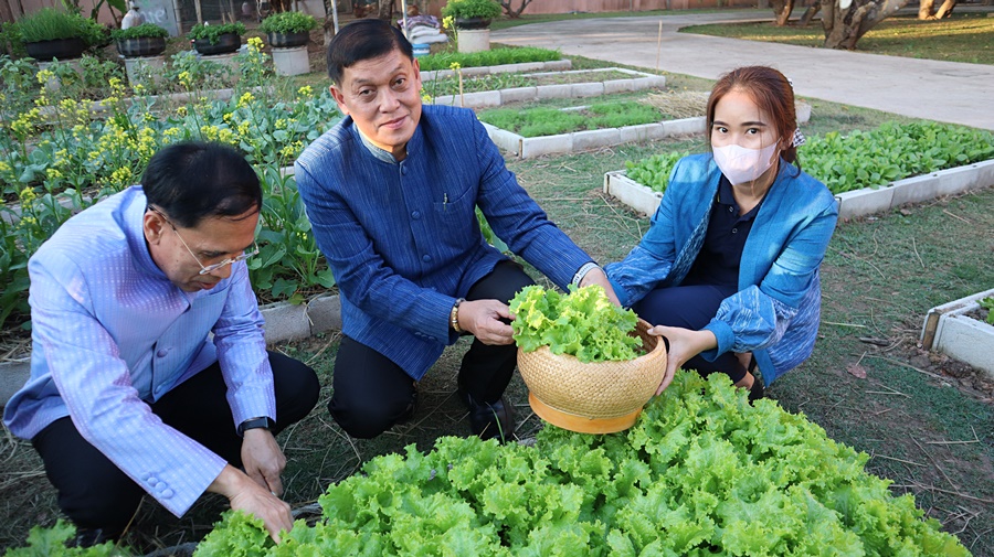 พ่อเมืองนครพนม พาปลูกผัก สร้างความมั่นคงทางอาหาร “ผู้นำต้องทำก่อน”