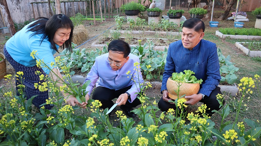 พ่อเมืองนครพนม พาปลูกผัก สร้างความมั่นคงทางอาหาร “ผู้นำต้องทำก่อน”