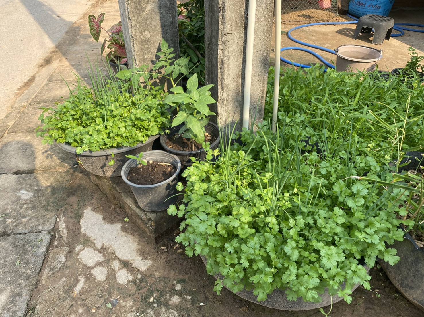 ผู้ตรวจราชการกรมการพัฒนาชุมชน ลงพื้นที่ตรวจติดตามผลการปฏิบัติราชการ